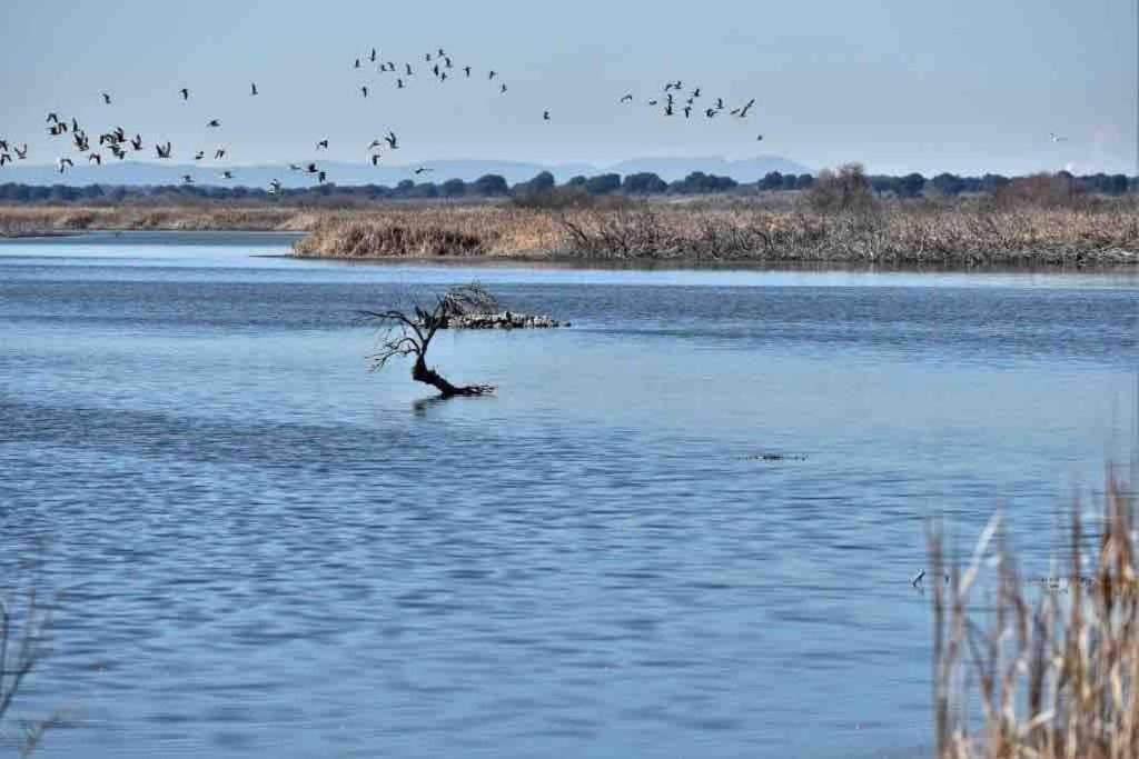 Apto. Singular En La Mancha Banco De Inversiones Argamasilla de Alba Buitenkant foto